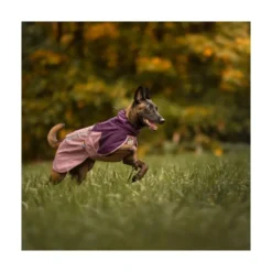 Non-stop Dogwear Chubasquero Cortaviento Malva para Perro