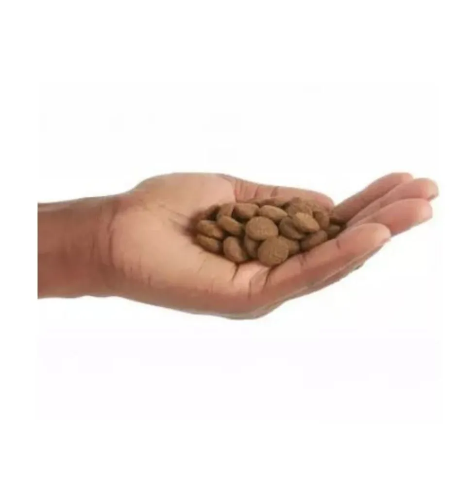 Orijen Regional Red Cat Pienso Alto en Proteínas para Gatos