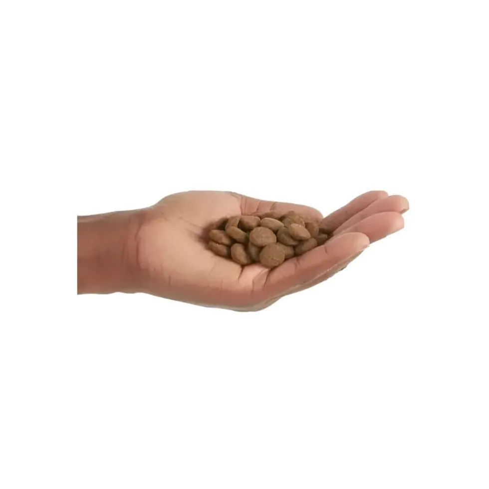 Orijen Senior Pienso Natural Alto en Proteína para Perros