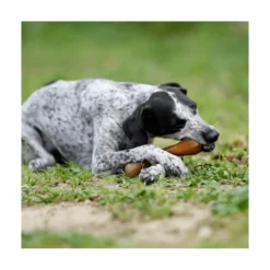 Retorn Juguete Rub Hueso para Perro
