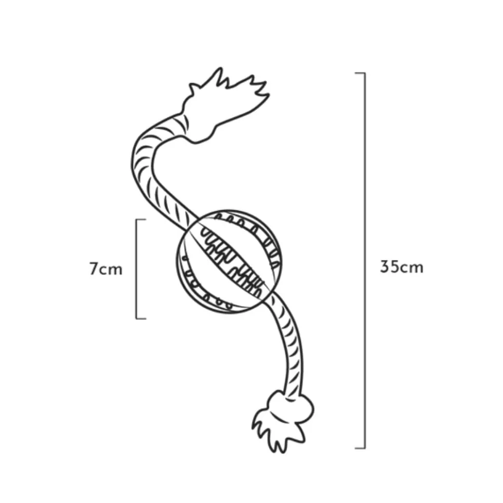 Retorn Juguete Rub Pelota Dental Flotante para Perro