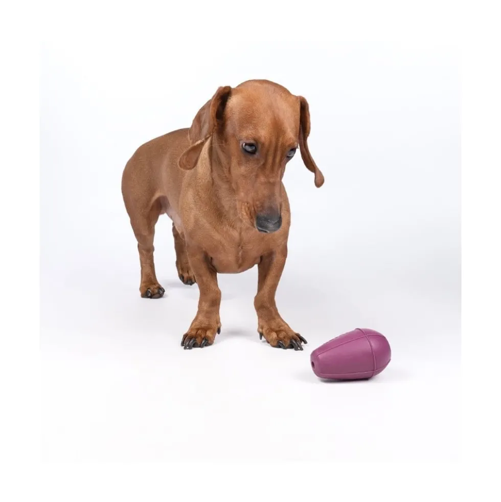 Rucan Conic Lila para Perro