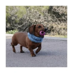 Rucan Dog Ball Pelota Lila para Perro