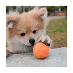 Rucan Dog Ball Pelota Naranja para Perro