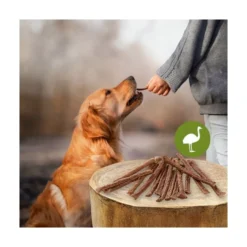 Snacks Naturales Palitos de Avestruz (4 uds)
