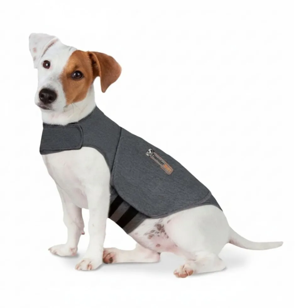 ThunderShirt Chaleco Relajante para Perro