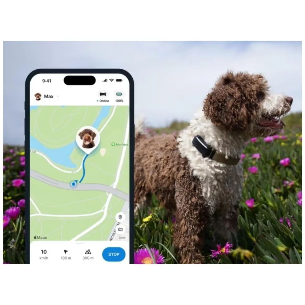 Tractive Dog 6 Black Localizador GPS para Perro