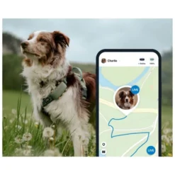 Tractive GPS Pet Tracker XL Localizador para Perros Grandes