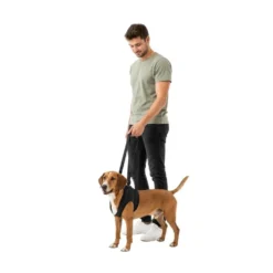 Trixie Arnés Andador para Perro