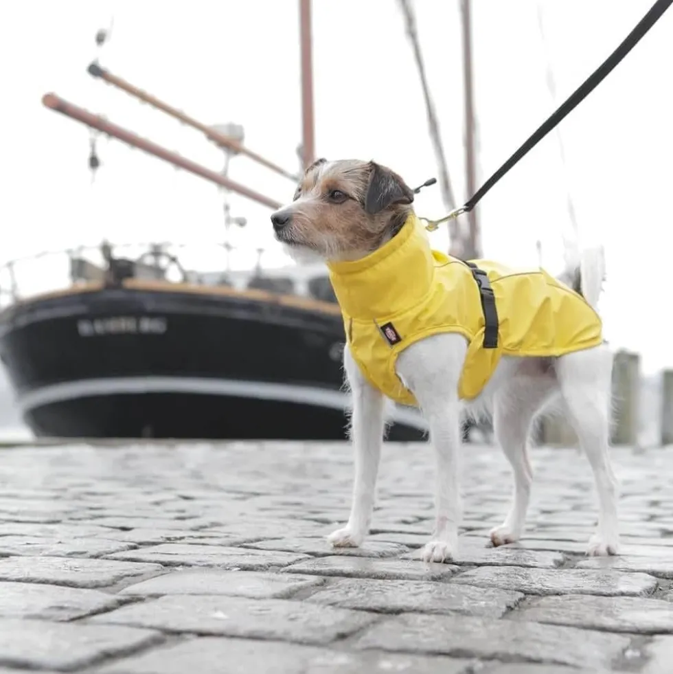 Trixie impermeable Vimy Amarillo Perro Mediano
