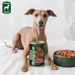 Wild Balance Comida Húmeda Cocinada de Salmón y Ternera para Perro