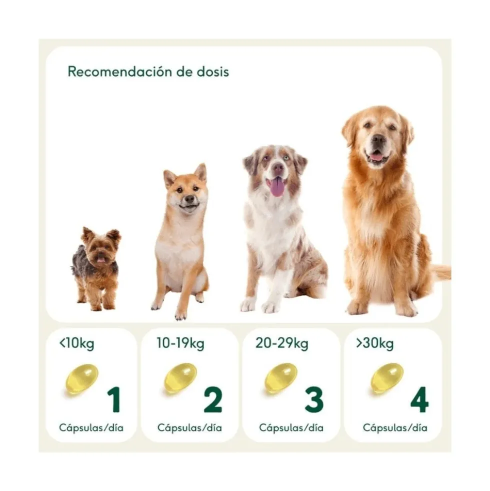 Wild Balance Pelaje Radiante (Cápsulas omega 3)