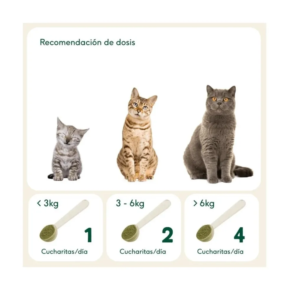 Wild Balance Suplemento Natural Digestiones Firmes
