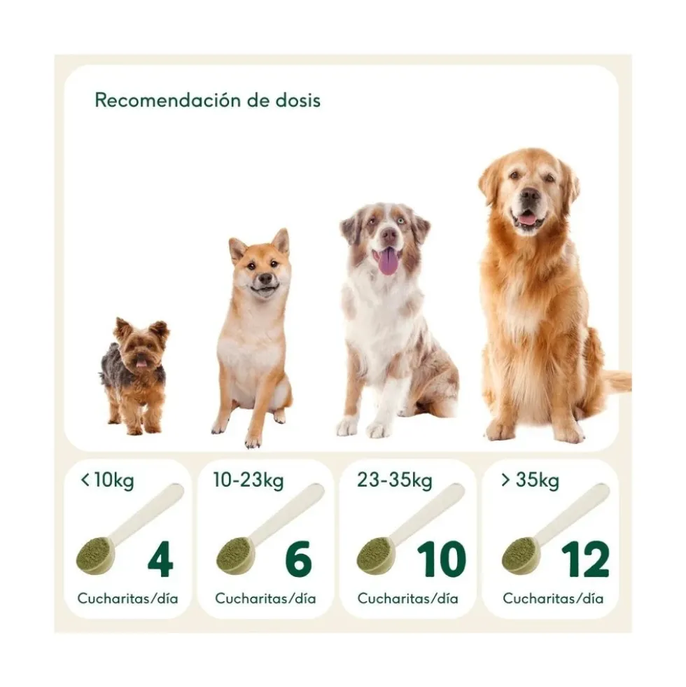 Wild Balance Suplemento Natural Digestiones Firmes