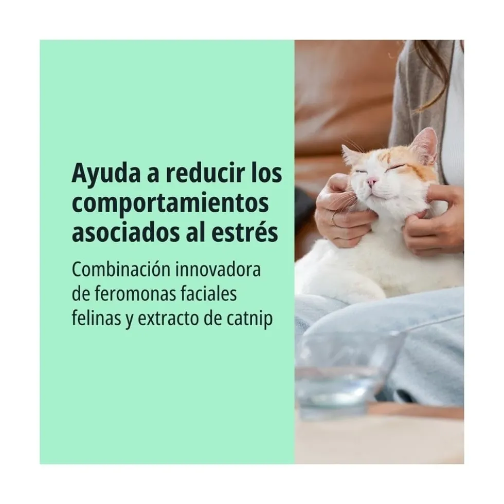 Zenifel Spray Calmante para Gatos